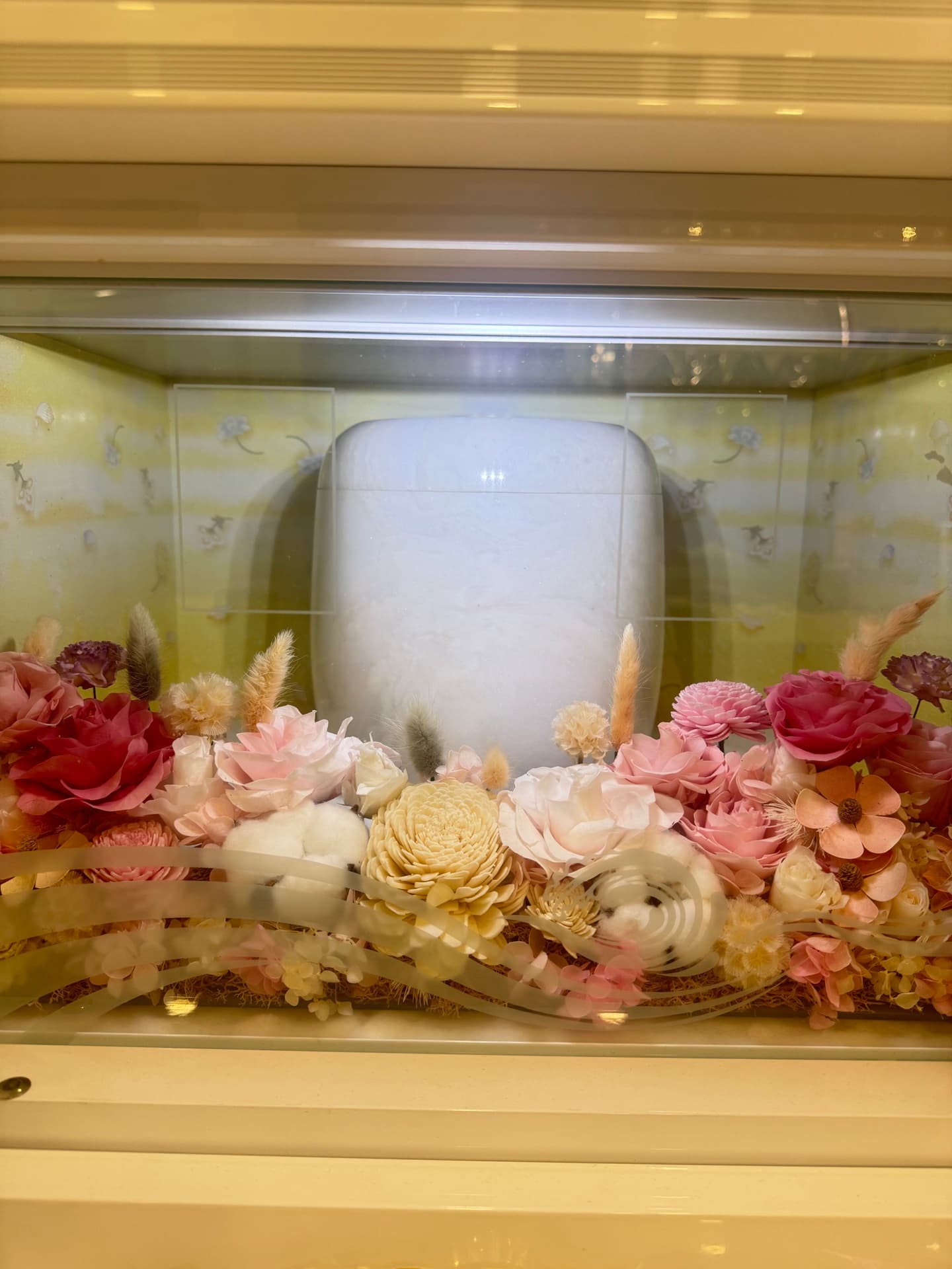 永生花 Everlasting Flower