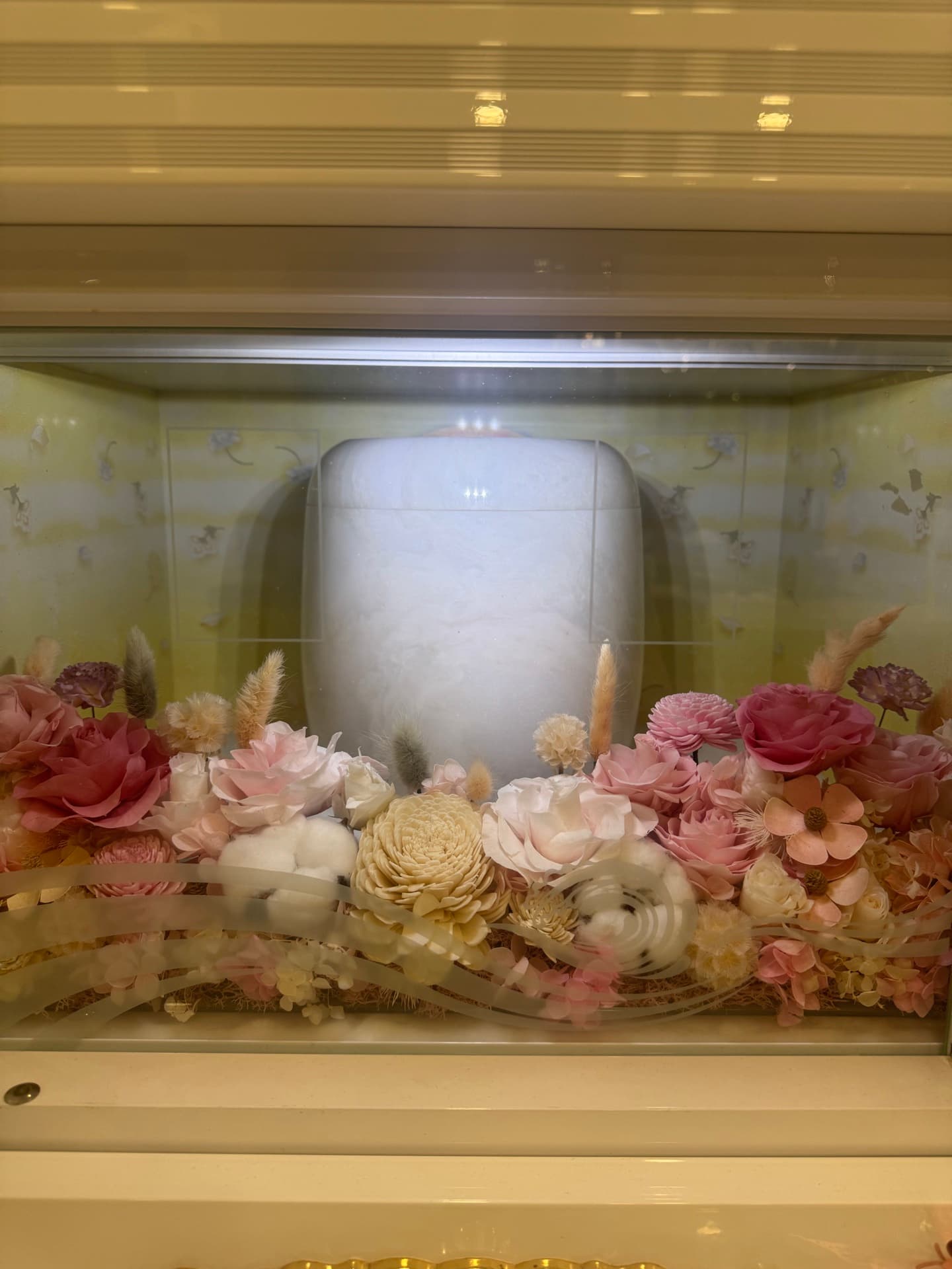 永生花 Everlasting Flower